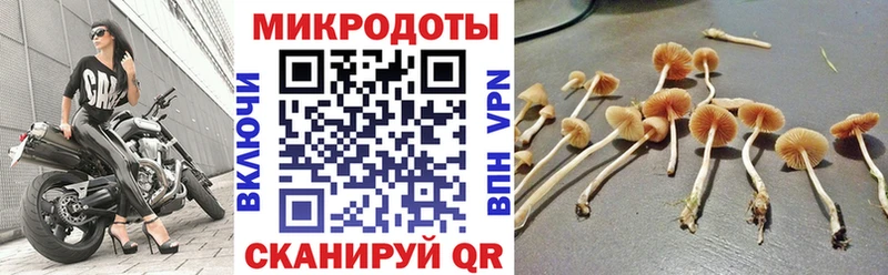 Псилоцибиновые грибы Psilocybine cubensis  Амурск 